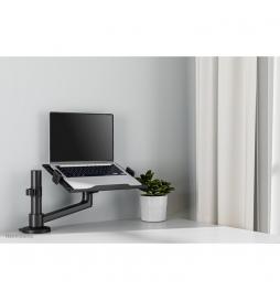 Neomounts - soporte de escritorio para portátil