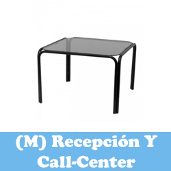 (M) Recepción y call-center