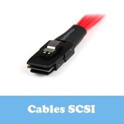 Cables SCSI