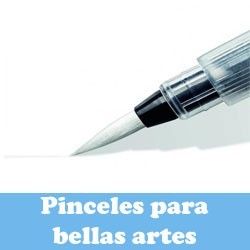 Pinceles Para Bellas Artes